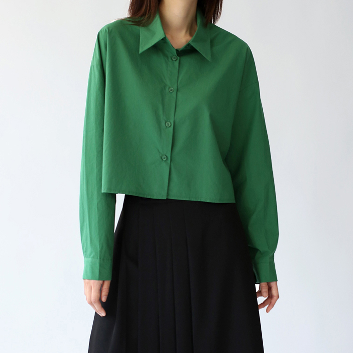 Segment Crop Shirt